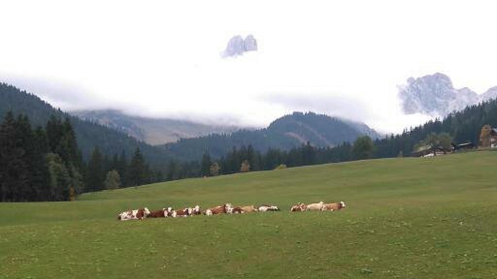 Haus Panorama Daire Filzmoos Dış mekan fotoğraf