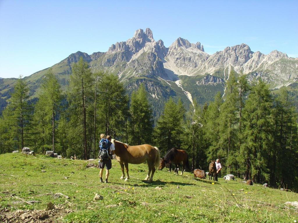 Haus Panorama Daire Filzmoos Dış mekan fotoğraf